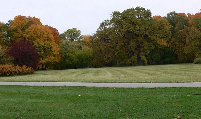 terrain